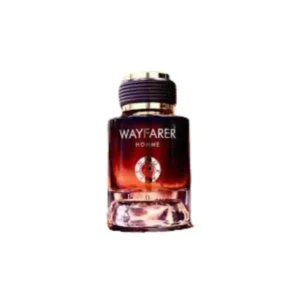 Wayfarer Homme Fragrance World - 100ml Eau De Parfum